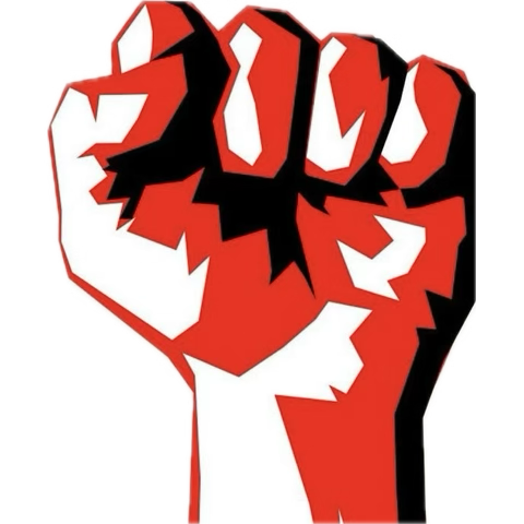 Solidarity Fist
